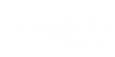 bazan contable